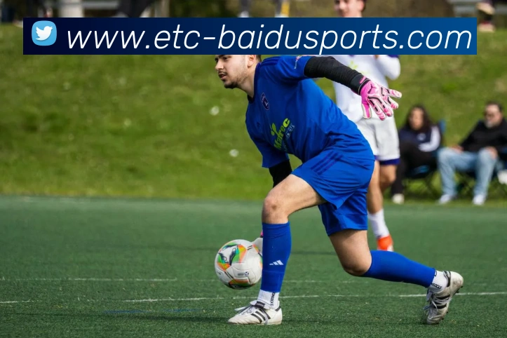 百度体育APP 封面图